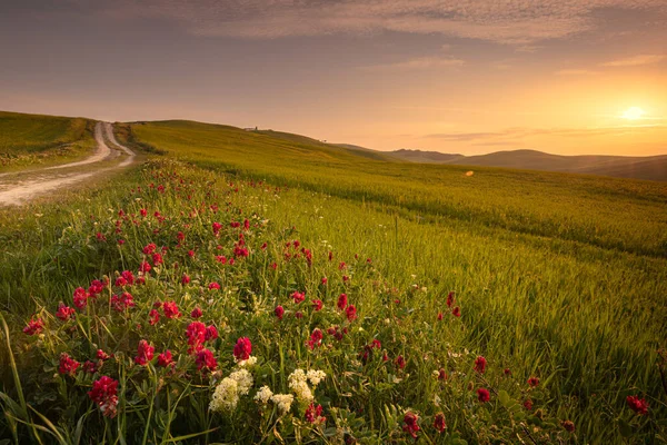 Frühlingslandschaft Mit Pfad Den Hügeln Des Val Orcia — Stockfoto
