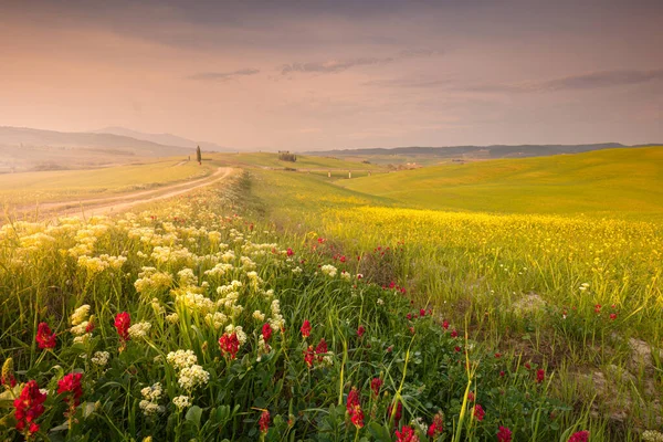 Frühlingslandschaft Mit Pfad Den Hügeln Des Val Orcia — Stockfoto