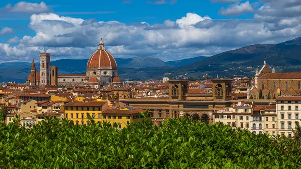 stock image The Cathedral of Santa Maria del Fiore and the Giotto's Bell Tower hidden by some trees