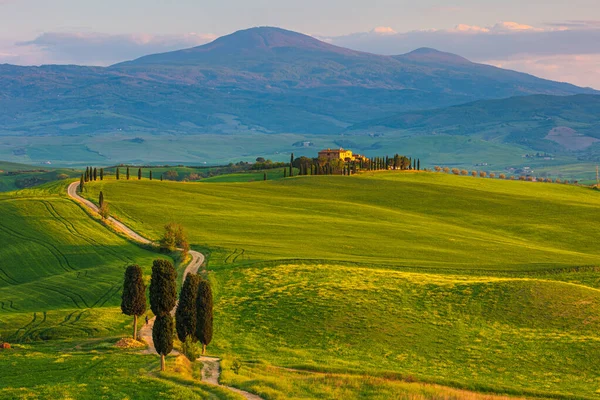 Spring Landscape Pathway Hills Val Orcia — Stock Photo, Image