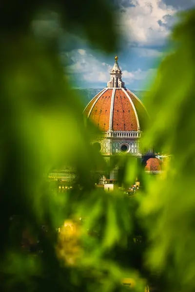 Floransa Şehrinin Yukarısından Görülen Brunelleschi Kubbesi Bazı Ağaçların Gizlediği Kubbenin Telifsiz Stok Imajlar