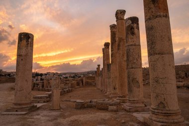 Ürdün 'deki Jerash, MÖ 2. yüzyılda kurulmuş, ancak Roma yönetimi altında kurulmuştur. Dünyanın en iyi korunmuş Roma şehridir.