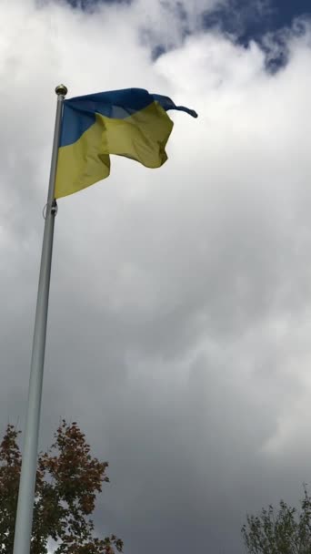 Zeitlupenvideo Der Wehenden Ukrainischen Flagge Vor Dem Hintergrund Des Himmels — Stockvideo
