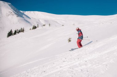 Karpaty, Ukraine, February 8, 2023. Skiers and snowboarders freeride in clear sunny weather on the slopes of the mountains near the resort of Dragobrat. High quality photo