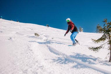 Karpaty, Ukraine, February 8, 2023. Skiers and snowboarders freeride in clear sunny weather on the slopes of the mountains near the resort of Dragobrat. High quality photo