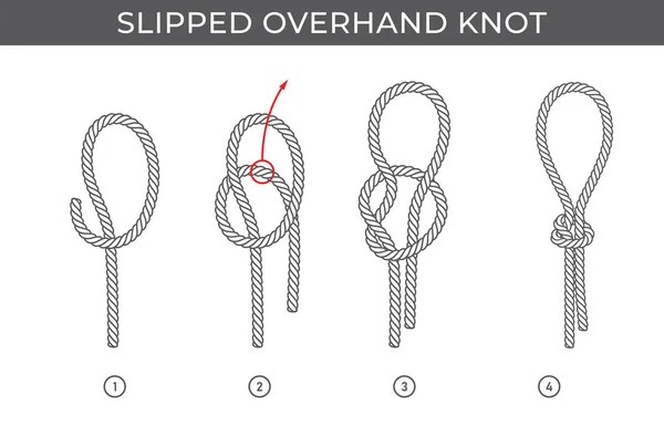 stock vector Vector simple instructions for tying a slipped overhand knot. Four steps. Isolated on white background.