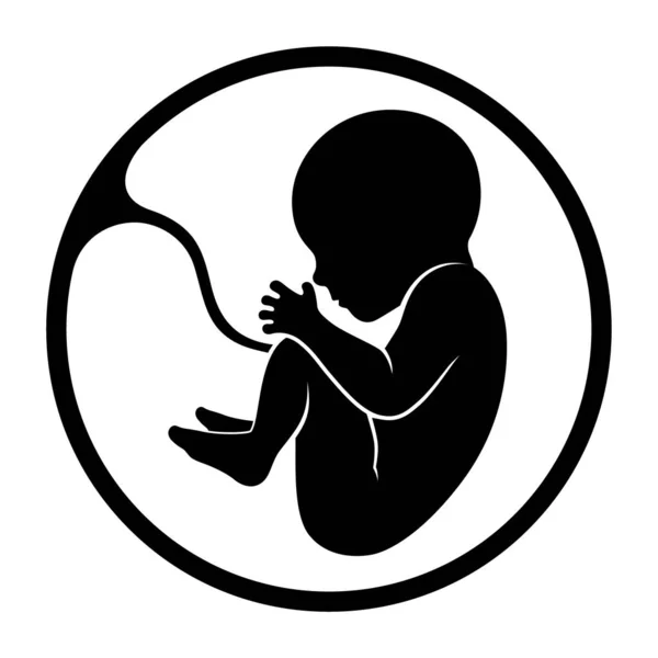 Vector Zwart Silhouet Menselijk Embryo Geïsoleerd Witte Achtergrond — Stockvector