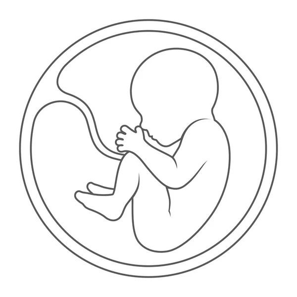 Vector Preto Delinear Embrião Humano Isolado Sobre Fundo Branco — Vetor de Stock