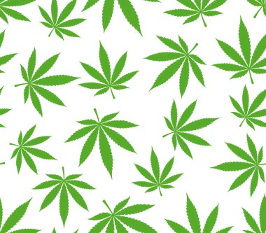 Vektör yeşil, dikişsiz marihuana yaprağı dokusu. Beyaz arkaplanda izole.