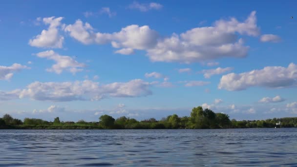Řeka Teče Rychlém Proudu Modrou Oblohou Stromy Břehu Pozadí — Stock video