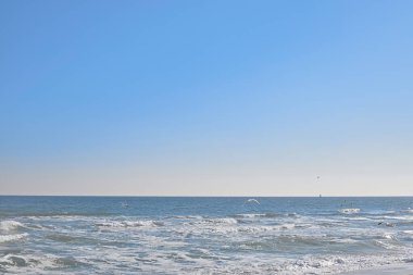Arka plan, berrak mavi gökyüzü, deniz, kıyıya vuran dalgalar, denizin üzerinde uçan martılar, parlak güneşli bir gün.