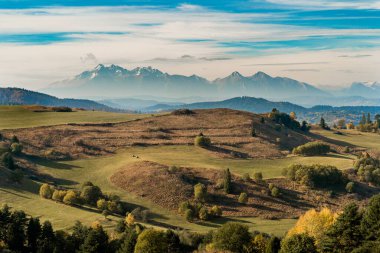 Yeşil otlaklı dağ manzarası ve gün boyunca arka planda kayalık Tatra dağları.