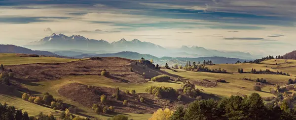 Paisagens Montanhosas Com Pastagens Verdes Montanhas Rochosas Tatra Fundo Durante Fotografia De Stock