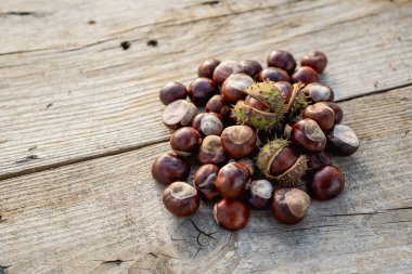 Sonbahar Kestaneleri Sonbahar sezonunu simgeliyor.