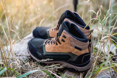 Kahverengi Yürüyüş Botları Altın Saatte Doğada