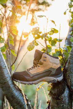 Kahverengi Yürüyüş Botları Altın Saatte Doğada