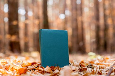 Güz Yaprakları Üzerine Retro Yeşil Hardcover Kitabı Orman Ayarlarında