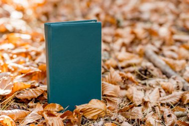 Güz Yaprakları Üzerine Retro Yeşil Hardcover Kitabı Orman Ayarlarında