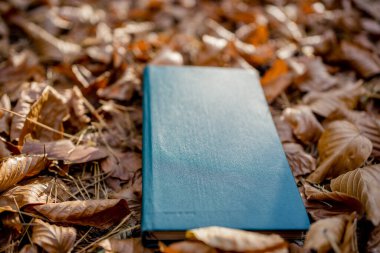 Güz Yaprakları Üzerine Retro Yeşil Hardcover Kitabı Orman Ayarlarında