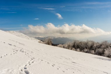 Poonina Caryska 'da Kış Yükselişi