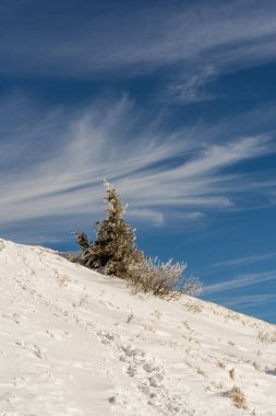 Poonina Caryska 'da Kış Yükselişi