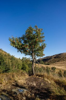 Tarnica ve Bukowe Berdo arasındaki Goprowska Geçidi 'nde Altın Saat