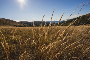 Tarnica ve Bukowe Berdo arasındaki Goprowska Geçidi 'nde Altın Saat