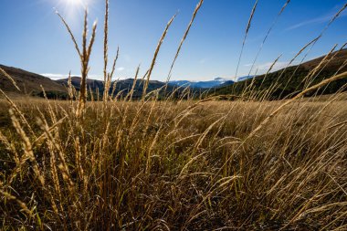 Tarnica ve Bukowe Berdo arasındaki Goprowska Geçidi 'nde Altın Saat