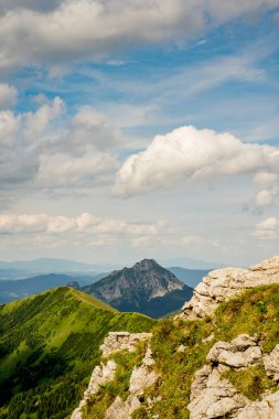 Slovakya 'nın Küçük Fatra şehrindeki Vel' k Rozsutec Zirvesi Güzel Bir Yaz Günü