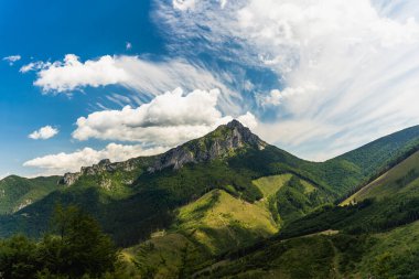 Slovakya 'nın Küçük Fatra şehrindeki Vel' k Rozsutec Zirvesi Güzel Bir Yaz Günü