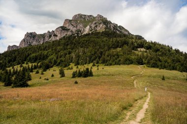 Mala Fatra Milli Parkı 'nda Velky Rozsutec' in görüntüleri