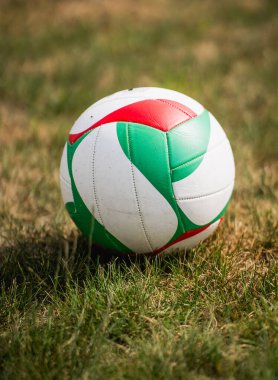 Bahçedeki Çimlerde Voleybol