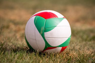 Bahçedeki Çimlerde Voleybol