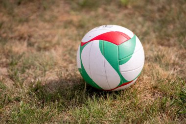 Bahçedeki Çimlerde Voleybol