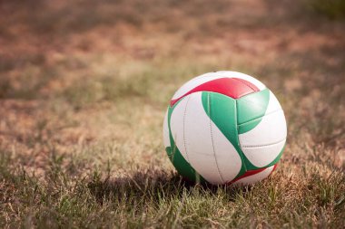 Bahçedeki Çimlerde Voleybol