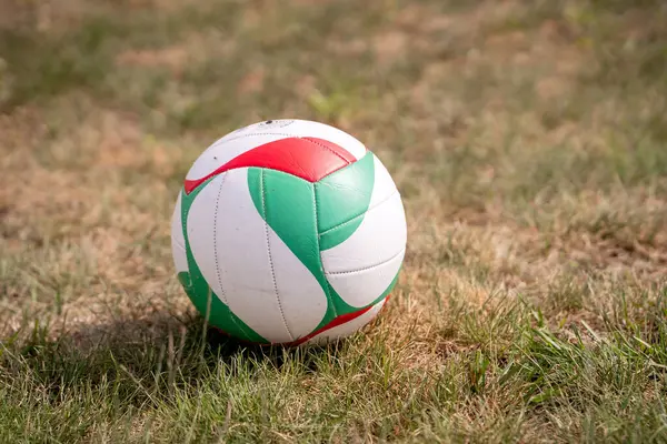 Bahçedeki Çimlerde Voleybol