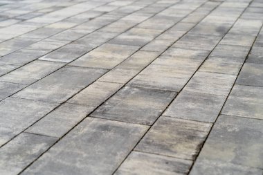 Moss 'la birlikte evin yanındaki kaldırım taşı.