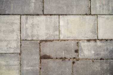 Moss 'la birlikte evin yanındaki kaldırım taşı.