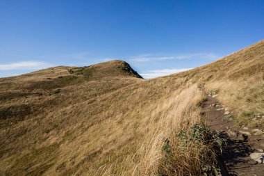Bieszczady 'deki Bukowe Berdo üzerinden Tarnica' ya giden patika.