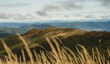 Bieszczady 'deki Bukowe Berdo üzerinden Tarnica' ya giden patika.