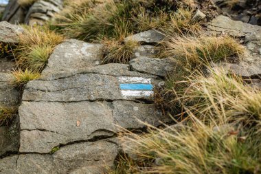 Bieszczady 'deki Bukowe Berdo üzerinden Tarnica' ya giden patika.