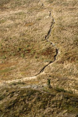 Trail to Tarnica via Bukowe Berdo in Bieszczady clipart