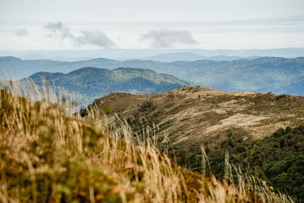 Bieszczady 'deki Bukowe Berdo üzerinden Tarnica' ya giden patika.