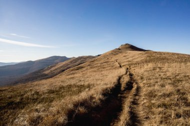 Tarnica, Halicz, Rozsypaniec, Bukowe Berdo, Poonina Wetliska ve Ukrayna Bieszczady 'nin açık mavi gökyüzü altındaki manzaralarının yer aldığı Bieszczady' deki bir yürüyüş döngüsünden sonbahar manzaraları