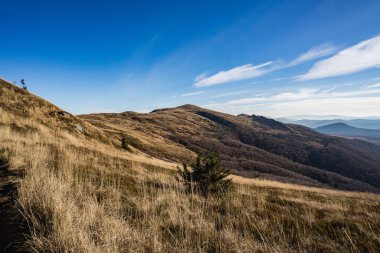Tarnica, Halicz, Rozsypaniec, Bukowe Berdo, Poonina Wetliska ve Ukrayna Bieszczady 'nin açık mavi gökyüzü altındaki manzaralarının yer aldığı Bieszczady' deki bir yürüyüş döngüsünden sonbahar manzaraları