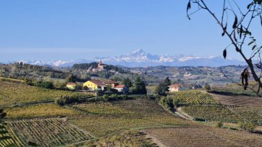 Alba, İtalya-5 Kasım 2022: Alba köyünü çevreleyen sonbahar mevsimi boyunca güzel tepeler ve üzüm bağları. Cuneo yakınlarındaki küçük köylerden güzel doğal manzara.. 