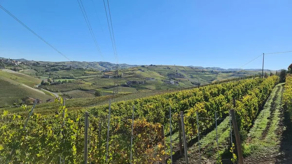 意大利阿尔巴 2022年11月5日 阿尔巴村周围美丽的山丘和葡萄园 库内奥附近小村庄的美丽自然景观 — 图库照片