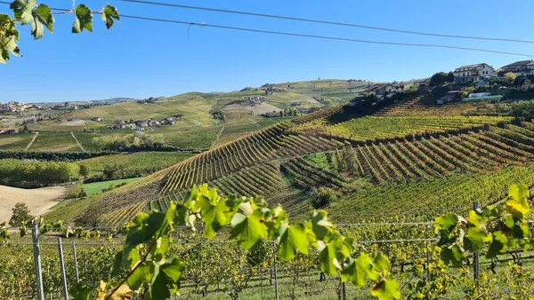 Alba Italien November 2022 Schöne Hügel Und Weinberge Während Der — Stockfoto