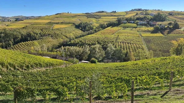 意大利阿尔巴 2022年11月5日 阿尔巴村周围美丽的山丘和葡萄园 库内奥附近小村庄的美丽自然景观 — 图库照片