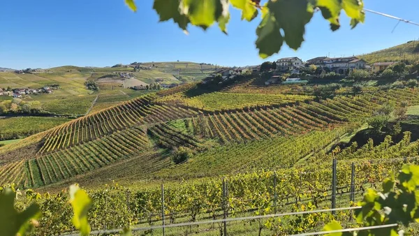 Alba Italy November 2022 Beautiful Hills Vineyards Fall Season Surrounding — Stock Photo, Image
